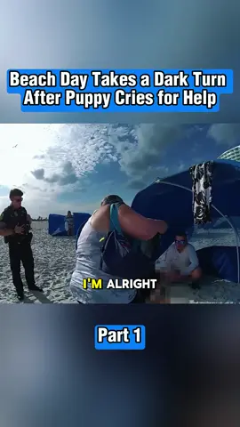 #fyp #police #cops #cop #bodycam 