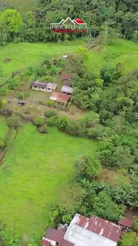 ¡En venta finca de 42 hectáreas! #foryou #InmobiliariaTsáchila #fypage #SantoDomingo #parati 