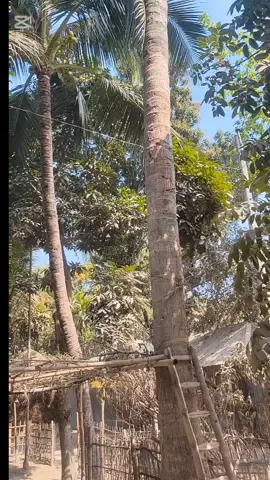 সাবধান #paratiiiiiiiiiiiiiiiiiiiiiiiiiiiiiii #viralvideo #paratiiiiiiiiiiiiiiiiiiiiiiiiiiiiiii 