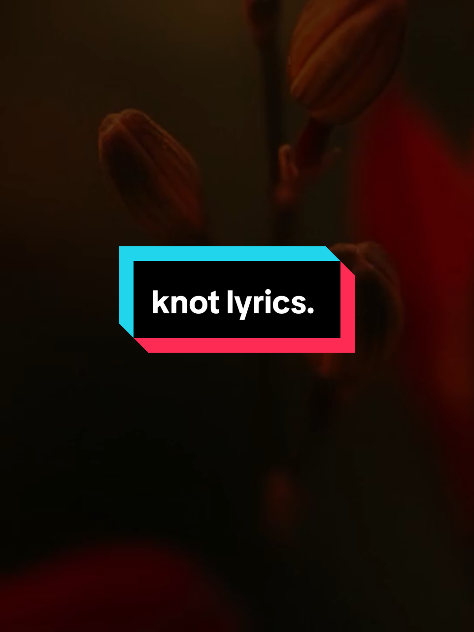 Nobelawo #knotlyrics #blaclyrics ##CapCut 