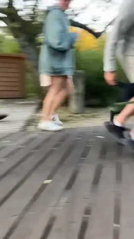My cat is a bully #cat #catlover #catsoftiktok #funnyvideos #funny 