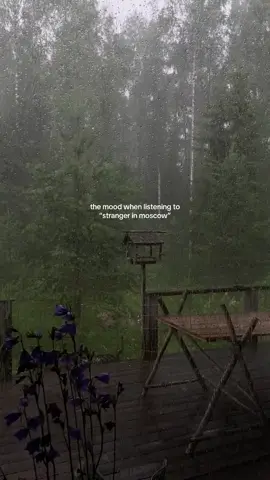 now i need coffee… 🌧️ #strangerinmoscow #nature #music #michaeljackson #mjjinnocent 