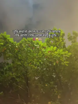 তুমি কখনো বদলে যেও না, তুমি আমার শেষ আশা, শেষ ভরসা সবটুকু তুমি ..)🫀🤍🌸#fyp #foryou #viral_video #unfrezzmyaccount #1millionaudition 