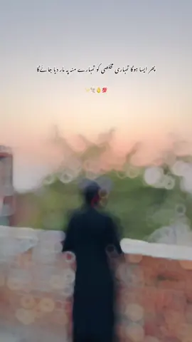 #CapCut 