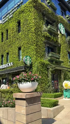 Một góc Starbuck tại Đỉnh Bà Nà Hills. Thời tiết thiệt biết chiều lòng người quá à #starbucks #banahills_danang 