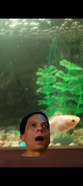 🤣🤣🤣🤣