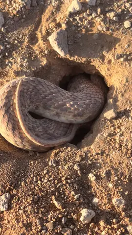 اعوذ بالله منها 
