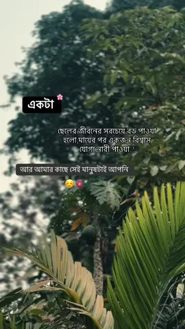 একটা ছেলের জীবনের সবচেয়ে বড় পাওয়া হলো,মায়ের পর এক'জন বিশ্বাস যোগ্য নারী পাওয়া..! আর আমার কাছে সেই মানুষটাই আপনি ☺️❤️‍🩹