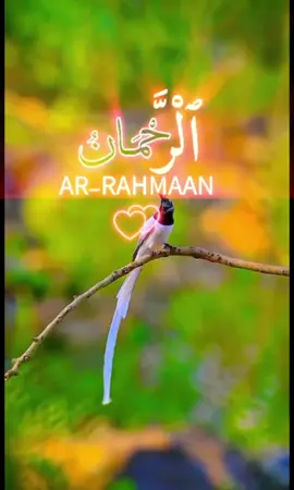 #99-name- of -ALLHA#اَللّٰهُُ اَكْبَر#اَللّٰهُُ اَكْبَر#اَللّٰهُُ اَكْبَر#رمضان۔الکریم 