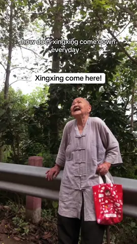 Thanks to@Xing Xing Monkey for making such precious video🥹pls Check out their page for more xingxing updates!! #xingxing #monkey #monkeylover #cuteanimals #fyp 