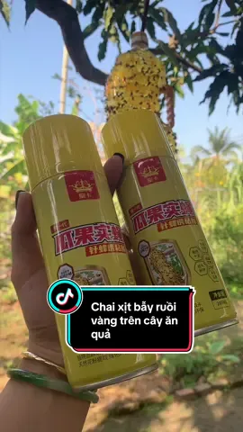 Keo xịt bẫy ruồi vàng trên cây ăn quả#xuhuongtiktok2026 #TikTokAwardsVN #livehighlights  @Cô Duyên  @Cô Duyên  @Cô Duyên 