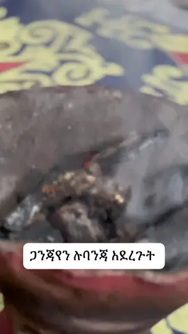 #creatorsearchinsights #ethiopian_tik_tok #fyp #viralvideo 