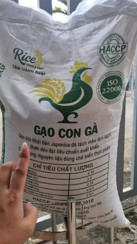 Gạo sữa Nhật bản Japonica#tongkho8689 #gaosuanhatban 