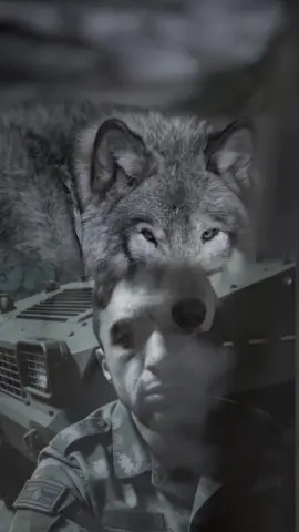. ┈╱▔╲┈┈☆┈┈┈WEREWOLF ┈▏╭▕┈┈┏━╮┈╭━┓┈☆ ┈╲▁╱┈┈╰╭┻━┻╮╯┈┈ ┈┈┈┈┈┈▅┻▔┈▔┃┈┈┈ ┈┈┈┈┈┈┗━▽▽┓┃┈┈┈ ┈┈┈┈┈┈┈┏△△╯┃┈☆┈ ┈┈┈┈╭┳━┻┓┏━┻━┳╮ 