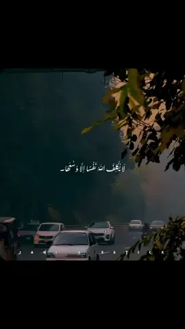 GOLD WORDS ❤️‍🩹🦋☘️🥹 . . . #fyp #foryoupage #goviral #sadsong #jani_x_asticx 