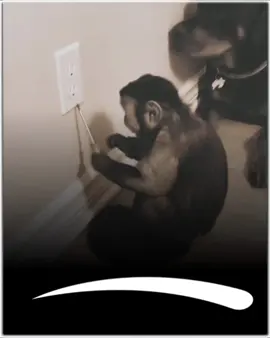 #funnyvideo #funny 