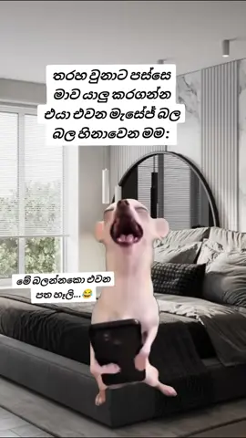 හූ....😂😂#Meme #MemeCut #CapCut #fyppppppp #funny 