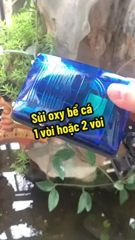 Sủi oxy bể cá, 1 vòi hoặc 2 vòi, cắm điện, tặng kèm ống oxy và đá sủi #phuongthanhdong #suioxy #suioxychobeca #phukienhoca 