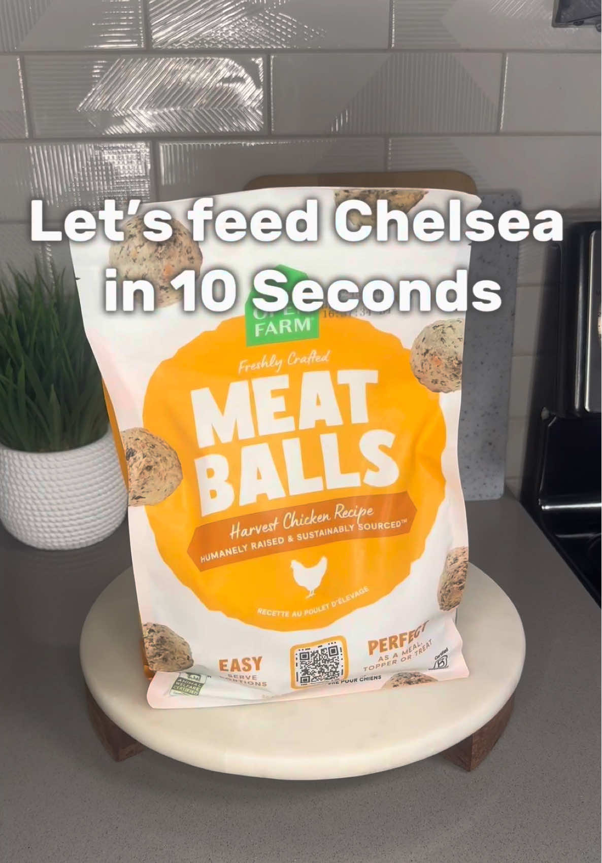 Meatballs for dinner🍽️🐶 @Open Farm Pet  Use code GLADYS_FC for 40% off! Link in bio!  #healthydogfood #openfarm #openfarmdogfood #freshdogfood 