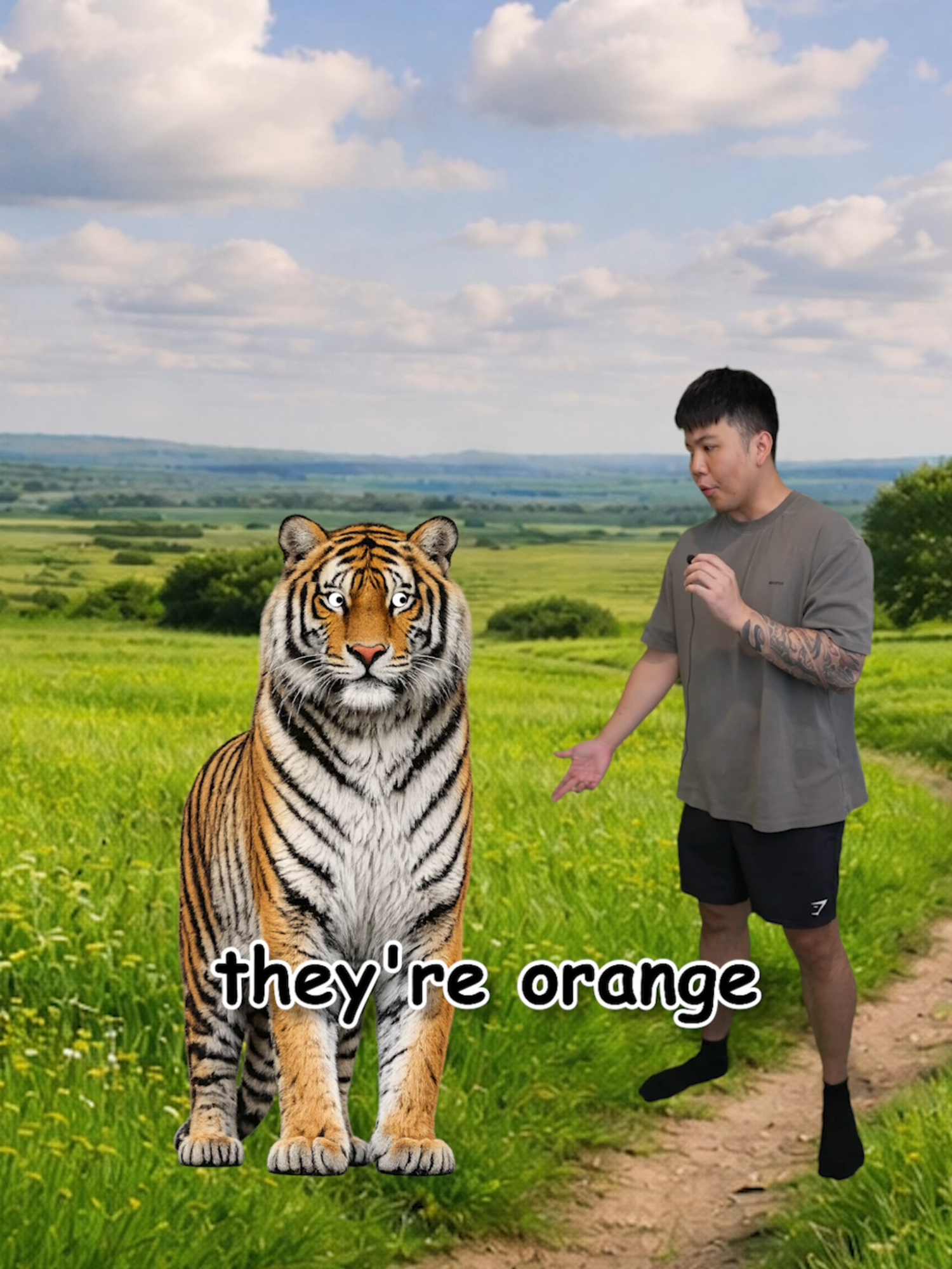 Why Are Tigers ORANGE?