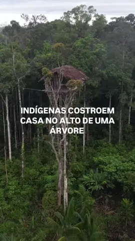 #povosoriginarios #casa #floresta
