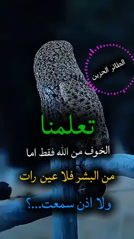 #تعلمنا الخوف من الله فقط #اقتباسات #اقوال #كلمات #الطائر_الحزين 