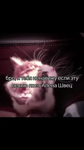 @~||Гёкуё||~ @vikssissxD @Та_564789 
