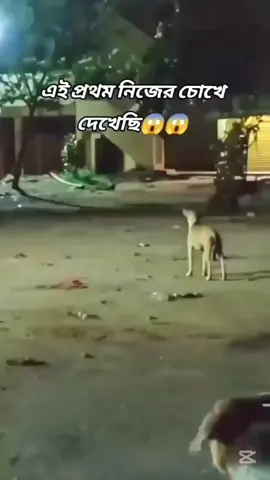 part:6 নিজের চোখে দেখলে বিশ্বাস করবেন না 😃😄 #viral #foryou #bdtiktokofficial🇧🇩 