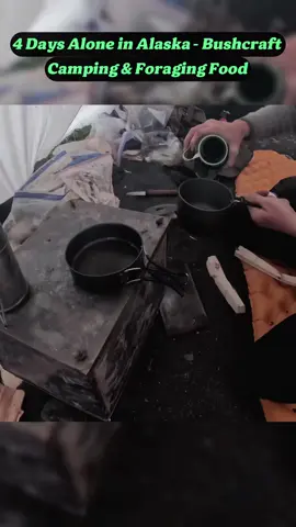 4 Days Alone in Alaska Bushcraft Camping & Foraging Food #outdoor #Outdoors #outdoorcooking #cook #cooking #survive #survival #survivalskill #camp #camping #bushcraft #alaska 