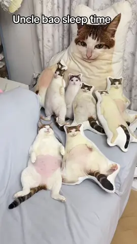 Don't tell me you're pulling all-nighters everyday! #unclebao #cute #cat #fyp #fypdong 