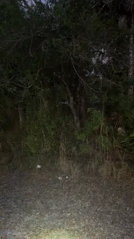 #FathersDay #nightvision #hunting #huntingseason 