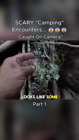 #disturbing #encounter #scarystories #caughtoncamera #videoviral 