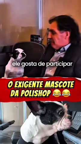 @João Appolinário | Mascote exigente! #empreendedorismo #dinheiro #appolinarioclipfy #clipfyleague #joaoappolinario