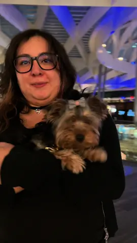 El amor deja Huellitas 🐾❤️ estamos muy contentos de ver feliz a una familia que también confió en el equipo de Huellitas México #yorkshire #yorkiesoftiktok #cdmx #puppy #yorkie 