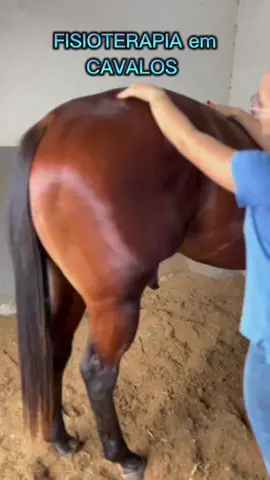 #foryoupage #horses #amazing #cavalos #caballos 