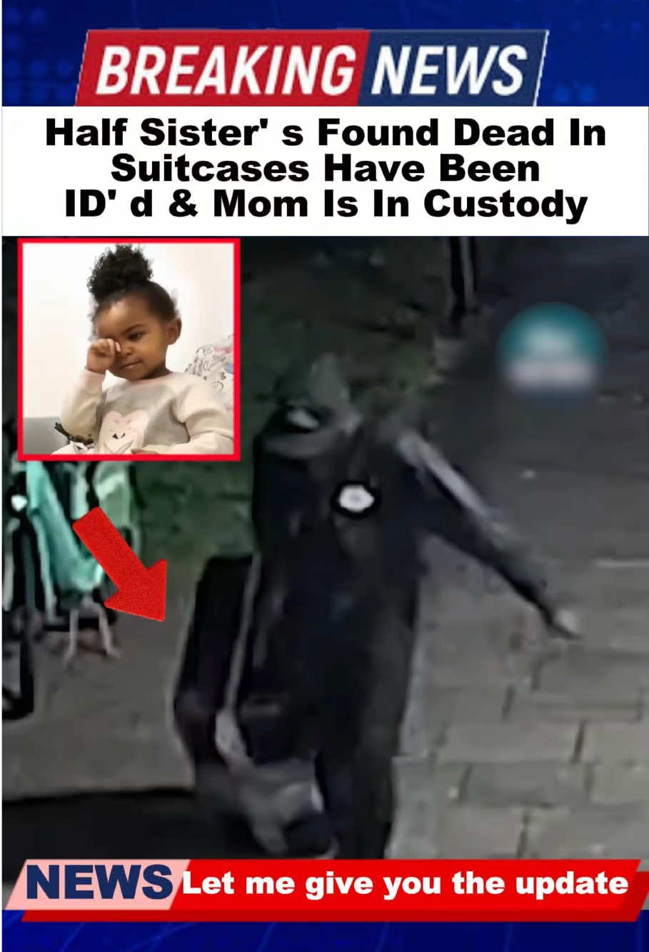 Half Sister’s Found Dead In Suitcases Have Been ID’d & Mom Is In Custody#usa#breakingnews#aliyahhenderson#truecrime#fyp