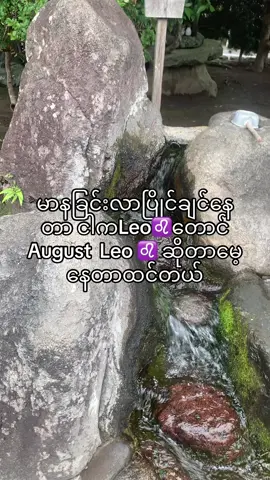 #မာနခြင်းလာပြိုင်ချင်နေတာ ငါကLeo♌️တောင် August  Leo ♌️ ဆိုတာမေ့နေတာထင်တယ်