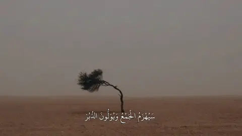 #صلاح_الباجي #قران_كريم #تلاوة_خاشعة #ليبيا🇱🇾 #مقاطع_دينية 