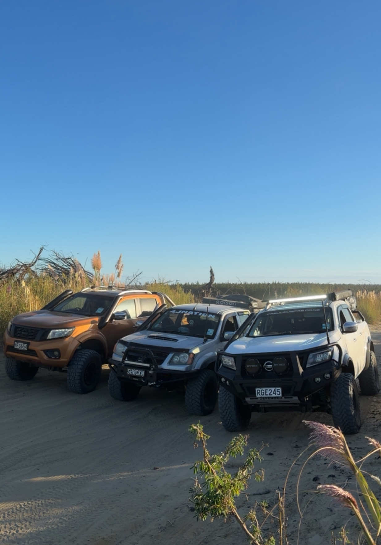 #2inch31s #fyp #nz #offroad #np300  