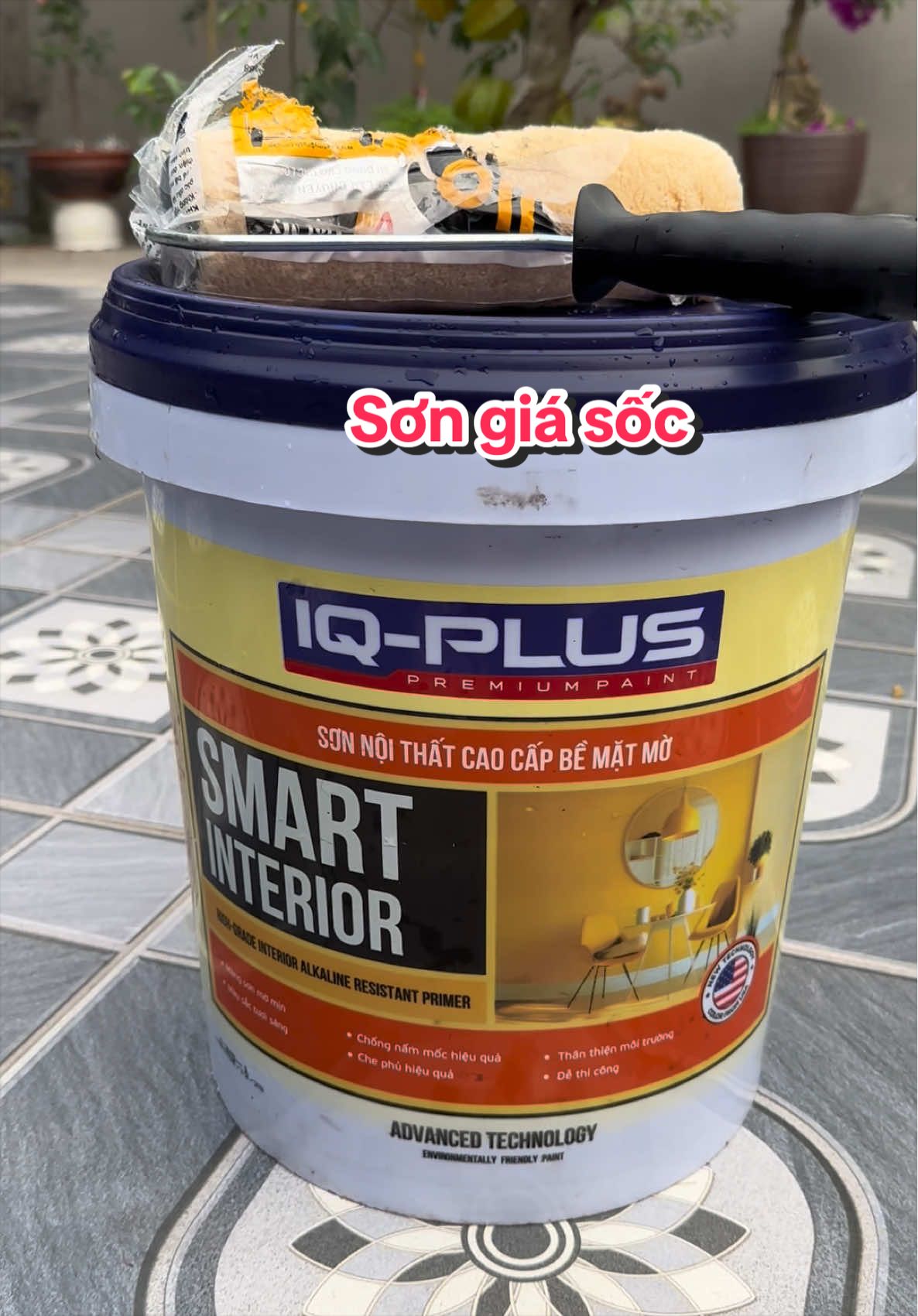 Sơn Nội Thất Cao Cấp Bề Mặt Mờ IQ lpus chống nấm mốc #sơn #sontuong 