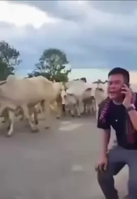 #លោក អុកញ៉ាកាក់ៗ😂😂