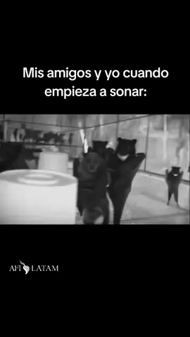 Silver Bleeds the Black Sun nos trajo joyitas para bailar 🖤🖤 #dance #ghotic #music #alternative  @afireinside 
