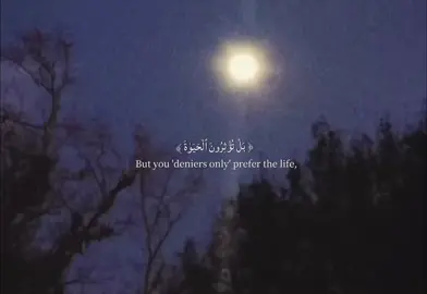 This is your sign to share the Qur'an🖤 • • • Surah Al-A'la Verses: [87-14] - [87-17] Reciter - Omar Bin Diaa Al-Din #islam #quran #quranrecitation #quranverses #muslimah