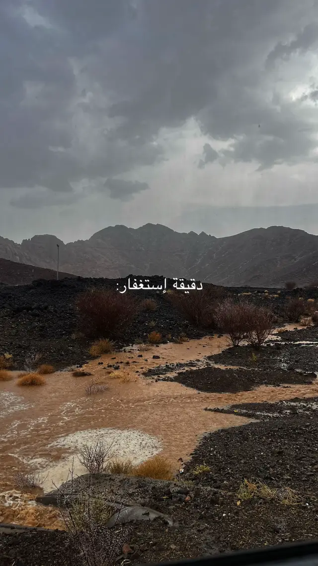 #الإستغفار #استغفرالله_العظيم_واتوب_اليه #وذكر_فإن_الذكرى_تنفع_المؤمنين #سبحان_الله_وبحمده_سبحان_الله_العظيم #لا_اله_الا_الله 