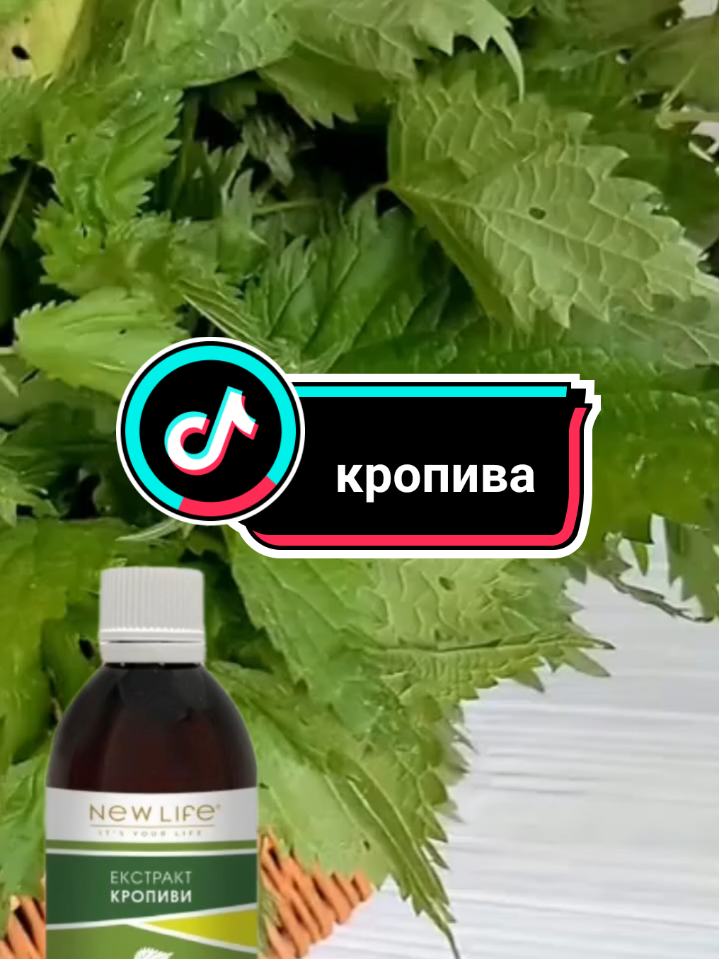 екстракт кропиви без цукру та спирту  #кропива #цікавіфакти #новежиття #трави 