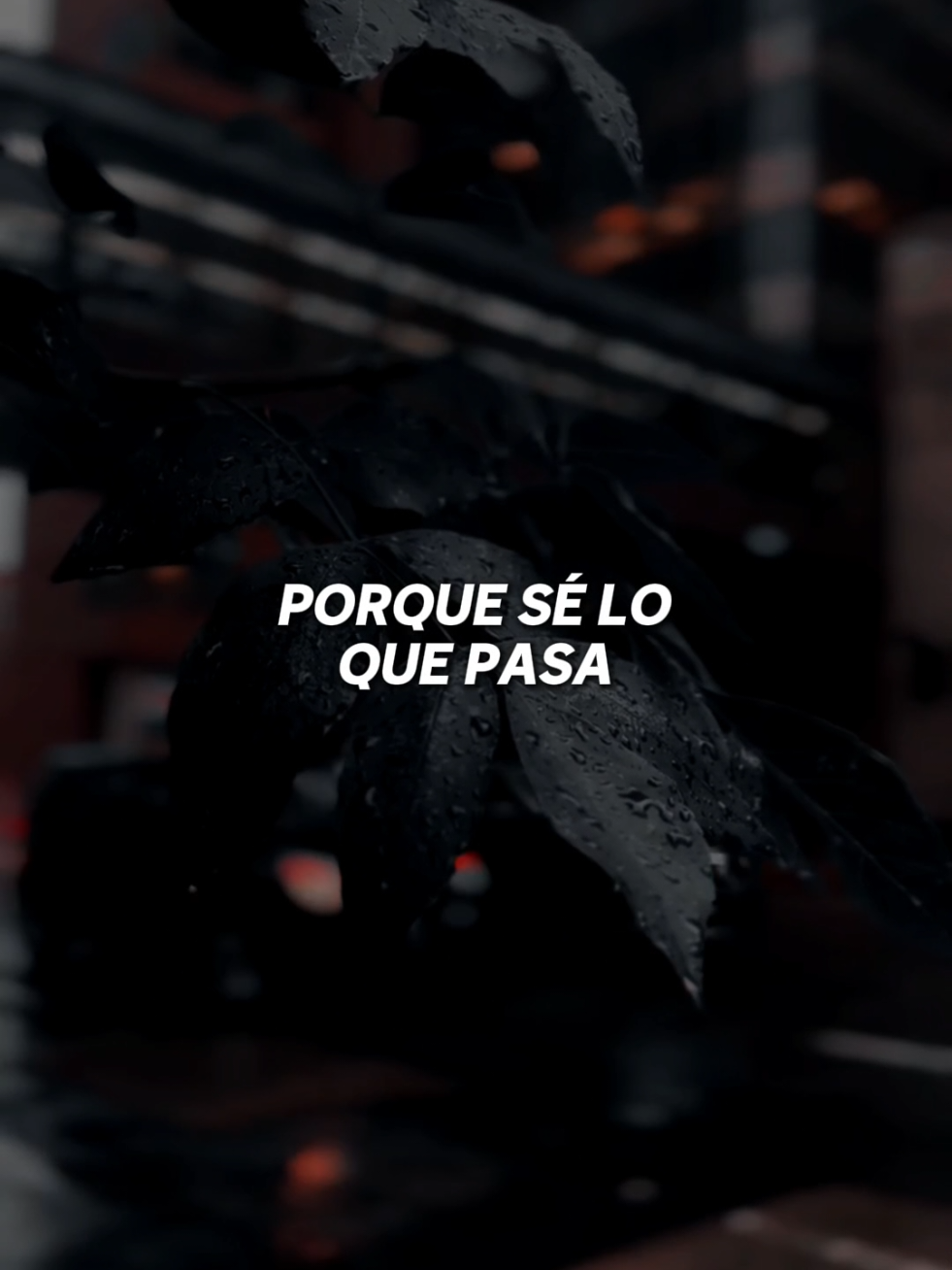 yo también sentí miedo al mirarte🫣#tessaelvaín #lyricsvideo #bachata #latino #latinmusic 