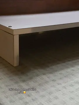 +1 kệ decor vào giỏ hàng#fypシ゚ #viral #decor #kemaytinh 