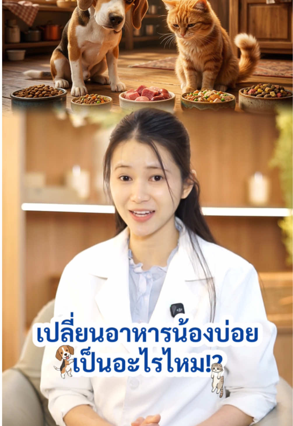 เปลี่ยนอาหารหมาแมวบ่อย เป็นอะไรไหม!? . #โรงพยาบาลสัตว์ดีเเคร์ #dcareanimalhospital #โรงพยาบาลสัตว์ป่วยใน24ชม #เปลี่ยนอาหารหมาแมวบ่อยเป็นอะไรไหม #อาหารหมาแมว