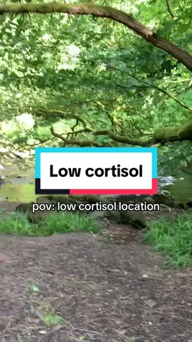 No stress here #nature #yorkshire #uk 