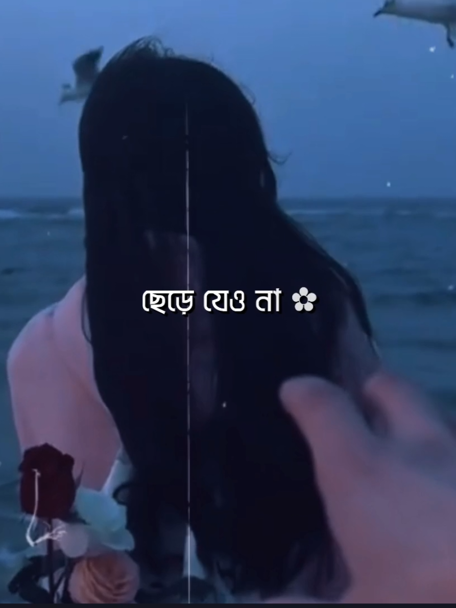 ছেড়ে যেও না 🥺❤️‍🩹..!! #__lyrics__saimon #bd_lyrics_society #viralsong #viral #songlyrics @TikTok @TikTok Bangladesh 